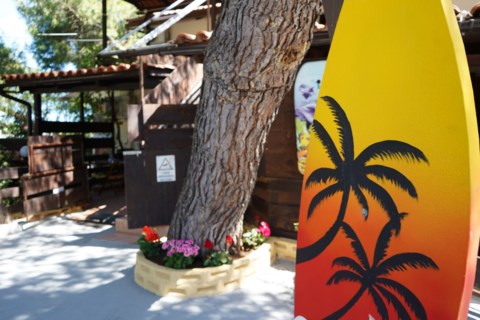 Oasis Apartments & Studios Zakynthos Greece