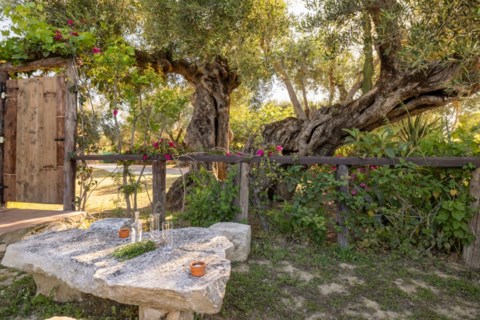 Vardiola Houses Zakynthos Greece