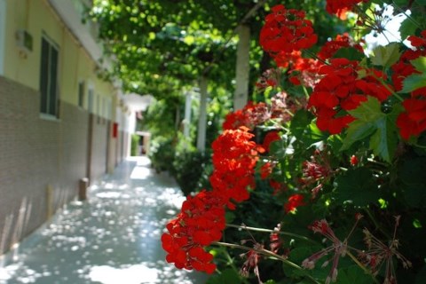 Manao Summer House Zakynthos Greece