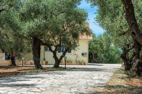 Olivegrove Villa Zakynthos Greece