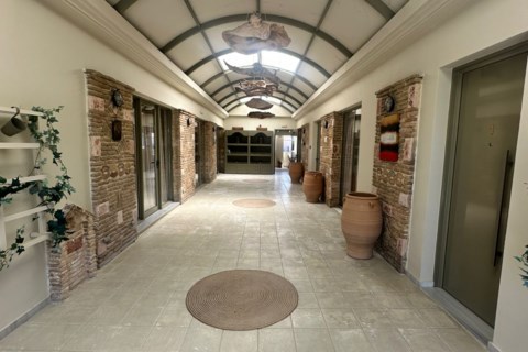 Lodge Apartments Zakynthos Greece