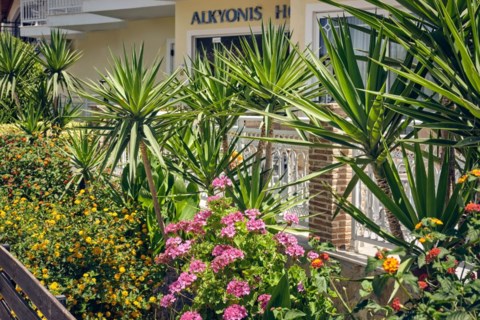 Alkyonis Hotel Zakynthos Greece