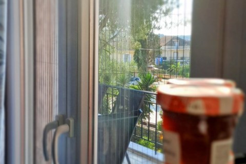 Araucaria Apartments Zakynthos Greece