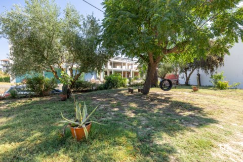 Palm Studios Zakynthos Greece